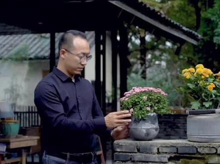 养花种树还能治病??#苗木人#抖音小助手#我要上热门 @抖音小助手