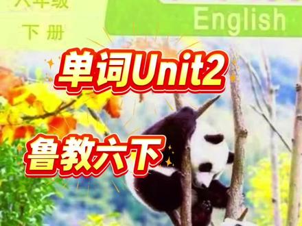 【单词朗读U2】初一下册,适合2026年3月,鲁教版五四制新教材,单词中英文朗读,第2单元 #背单词#中考英语#新教材#五四制#英语没那么难