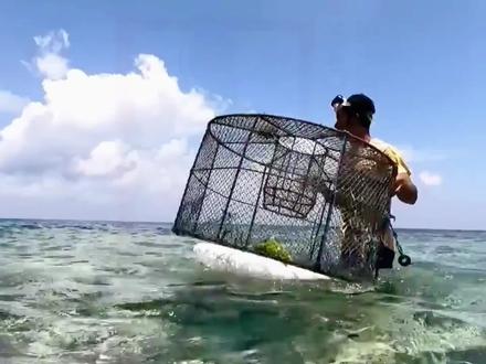 将一个铁笼放入海底究竟能捕捉到多少海鲜呢,答案出乎预料