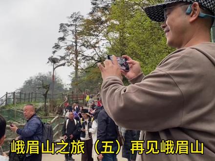 下山时 遇到了很多猴子,喇叭里广播不要挑逗、触摸、投食给猴子,游客们很自觉,没有发生猴子伤人事情
