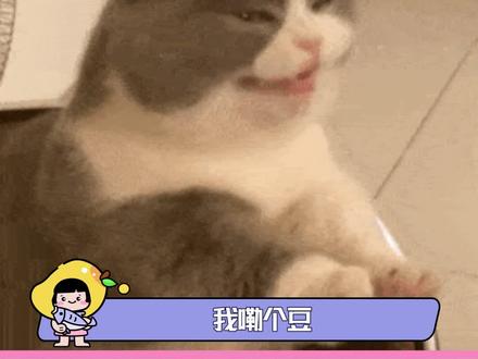 #国漫新的春节搭子加更上线 什么叫过年?这才叫过年!新番我来了