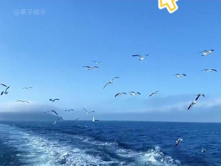 投我以木桃,报之以琼瑶。 #汶川地震 #感动 #格局