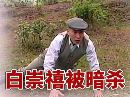 白崇禧被暗杀
#抖音精选 #青年创作者成长计划