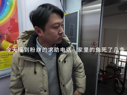 沈阳同城上门帮粉丝治疗蝴蝶鲤鱼病,圆满解决!