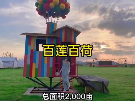 今天来到百莲百荷打卡了,耳闻不如一见,真的是打卡宝藏地,快来吧!#亲子游玩好去处 #周边游 #荷塘美景 #网红打卡 #治愈系风景