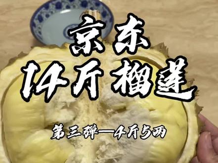 第48集|京东京鲜生14斤榴莲最后一弹啦~ 你们买的京东14斤榴莲品质都咋样呀~#榴莲 #榴莲爱好者 #京东14斤榴莲盲盒 #开榴莲