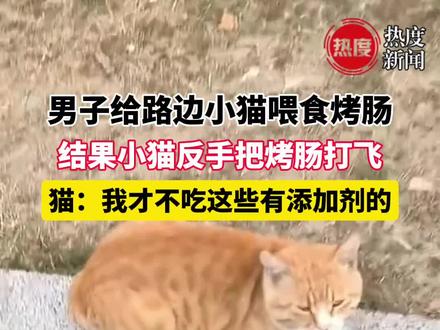 男子给路边小猫喂食烤肠 ,结果小猫反手把烤肠打飞, 猫:我才不吃这些有添加剂的