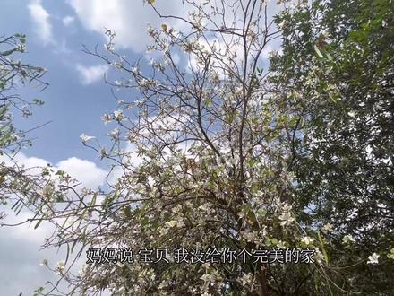 “答案都在路上 自由都在风里”#音乐分享#MOM 来汽水设置手机铃声