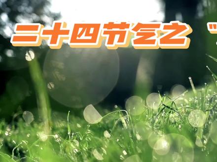 二十四节气之“大暑” #节气 #大暑 #传统节气
