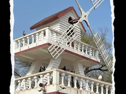 🌸南京春天 | 一起打卡浪漫的🔟件小事 南京的春天太美啦,从3月到5月,各种花花🌸陆续开放,一起美美打卡吧
#当你三月来到南京 #我该怎么和你形容莫愁湖的浪漫 #南京中山植物园完全是出片圣地 #我是不会放弃去江苏的 #南京旅游攻略