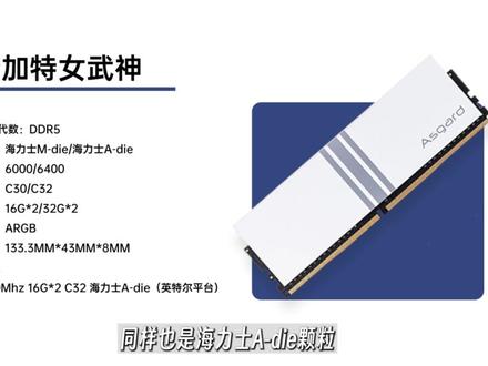 【23年双十一内存推荐】包含DDR4/DDR5内存! 共计14款,详细到颗粒类型,时序,马甲厚度,双十一装机选购必看!#组装电脑 #内存
