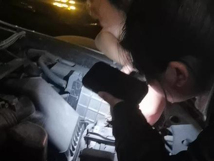 猫进发动机仓怎么弄出来? #猫咪的迷惑行为 #丰田 #爱猫人士 #猫 #猫进车里