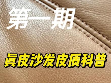 真皮沙发皮质科普 第一期 评论区留下你们的沙发,看看踩坑没#真皮沙发怎么分辨真假#皮质怎么区分#沙发避坑指南#真皮沙发#皮沙发