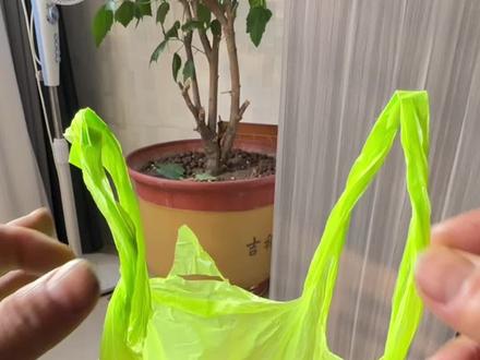 快速打结塑料袋方法,你学会了吗