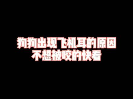 狗狗出现飞机耳的原因,不想被咬的快看!#狗 #飞机耳 @抖音小助手