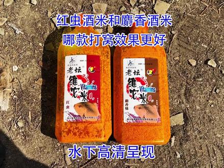 同样颜色的西部风酒米,红虫味型和麝香味型哪款更好用#饵料测试 #饵料窝料 #酒米打窝 #西部风窝料 #饵料测评