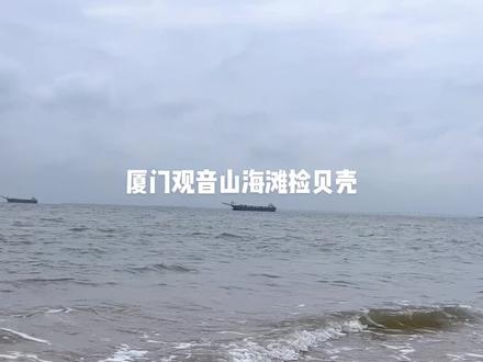 #赶海生活 #去厦门听听海浪的声音 #捡贝壳 厦门观音山海滩捡贝壳啦
