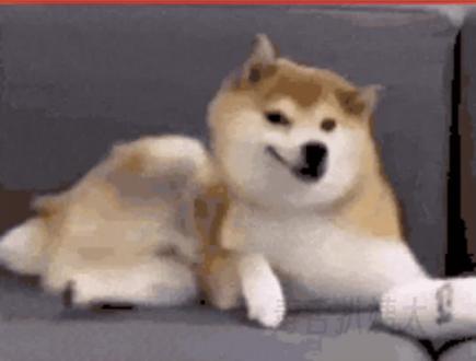 放屁时该怎么办呢#万万没想到 #娱乐评论大赏