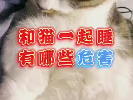 和猫一起睡有三大危害?后悔没早点知道!#宠物知识 #萌宠出道计划 #科学养宠攻略 @DOU+小助手
