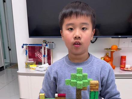 #我的世界#minecraft #我的世界minecraft #磁力方块 #磁力方块积木