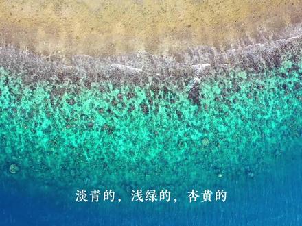 西沙群岛一半是水 一半是鱼 | #国庆旅行日记 #旅行 #富饶的西沙群岛 #语文