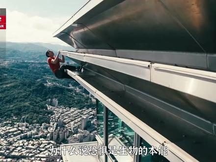 亚历克斯再次徒手攀登 挑战台北101大厦 #台北101