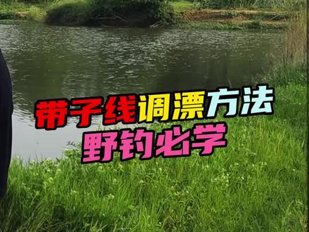 带子线调漂方法 野钓必学技能! #野钓 #钓鱼技巧 #原来钓鱼才是抖音运动顶流 #dou是钓鱼人