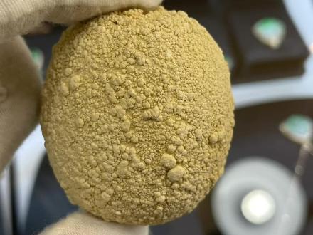 狗宝 据说是名贵药材。