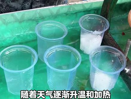 印度街头降暑神奇手汗碎碎冰 #印度美食 #街头美食 #干净又卫生 #路边摊