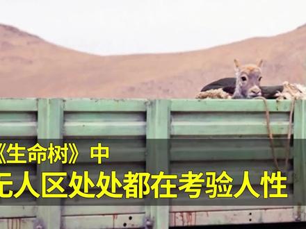 无人区中的极限环境,处处考验着人性 #电视剧生命树#人性的善与恶#好剧分享#影娱年味不打烊 #了不起的精讲团