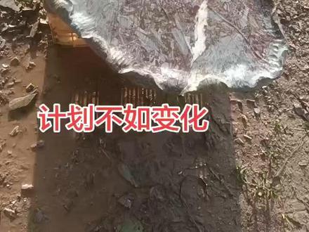 荷叶(和气生财和和美美)莲蓬(多才多福多子)#藝苑春旭晟雕客工作室#莒县非物质文化遗产代表性传承人孙立彬