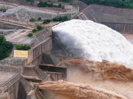 2026年7月2号小浪底调水调沙同时进行中,一清一浊形成了独有的景色,黄龙奔涌而出!#黄河小浪底#小浪底排沙#小浪底 #黄河之水天上来#黄河之水真的从天上来