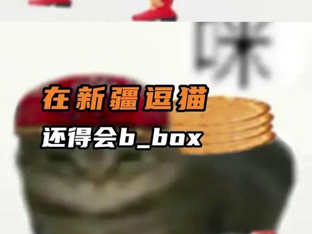 #虚构演绎仅供娱乐 下次去新疆逗猫还得下载个当地语言包