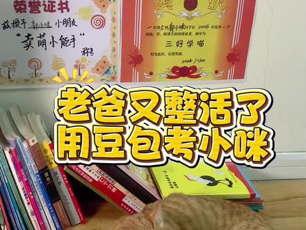 豆包好是好,就是没法物质奖励小咪#dou上热门 #宠物猫 #橘猫 #萌宠出道计划 #豆包 @DOU+小助手