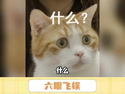 亲吻还有这么多种? #情侣 #亲吻 #甜蜜暴击