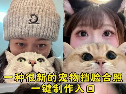 一种很新的的宠物挡脸合照! 宠物挡脸合照Ai教程 宠物挡脸合照Ai指令 宠物合照 可爱#萌宠 #豆包ai #豆包P图已经nextlevel了 #宠物#宠物合照