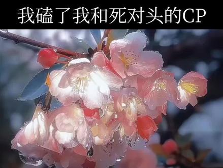 根据我的经验,张桂源不是喜欢你就是干了对不起你的事#gl#桂橹 #张桂源王橹杰@-豚痣源泪^🎻 @回忆片. @Xi.小茜 @RRRRRR #张桂源王橹杰