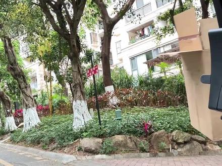 新手5mins看懂咖啡机如何使用(建议收藏) 朋友搬家,上门为她安装一台咖啡机,顺便手把手教她操作,希望她在浮躁的生活中通过一杯咖啡得到平静!谁还没学会,给我留言!
#有没有买过的来晒晒 #咖啡机 #咖啡机教学 #咖啡 #咖啡日常