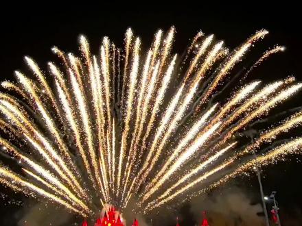 2026年春节快乐!#烟花秀