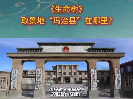 追《生命树》的朋友,一定对玛治县念念不忘吧?其实就在德令哈拍摄,满是90年代烟火气。走进剧中世界,同款取景地等你来打卡!#生命树 #跟着生命树打卡青海 #胡歌 #杨紫 #山宗水源大美青海