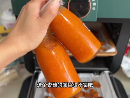 吃不完的杏,做成杏酱和杏脯,能抹面包,能沏水,追剧零食也有了#跟着抖音学做菜 #杏干 #零食 #美食教程