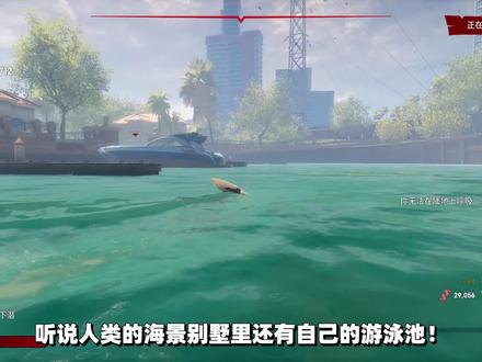 食人鲨:鲨鱼想进入游轮里吃掉人类,遇到了前来阻挡的锤头鲨