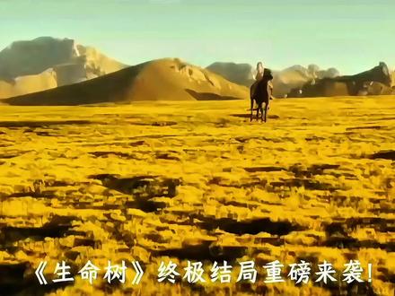 《生命树》终极结局重磅来袭!黑恶保护伞全覆灭,涉黑团伙伏法,英雄沉冤昭雪。#生命树 #生命树大结局 #生命树后劲 #剧评