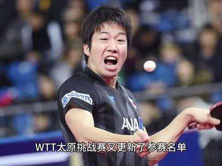 早田希娜没来参赛,孙颖莎夺冠希望大