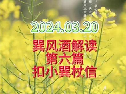 #巽风 #巽风酒 #二十四节气酒
小巽又出丑了?来,该玩家扣你杖信了。