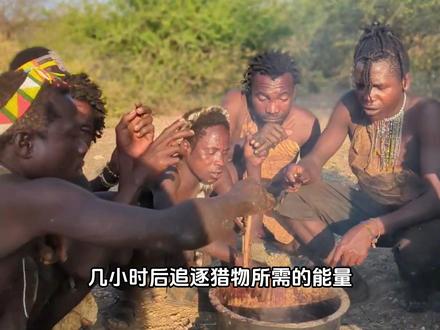 他们吃到了地球最稀有的肉。 他们是东非最后的原始狩猎部落,三万年来从未被驯服。#哈扎比部落 #非洲纪录片