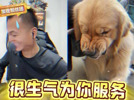 增肌壮骨狗粮来了!#宠物 #狗粮 #平价狗粮推荐 #增肌壮骨狗粮 #性价比狗粮
