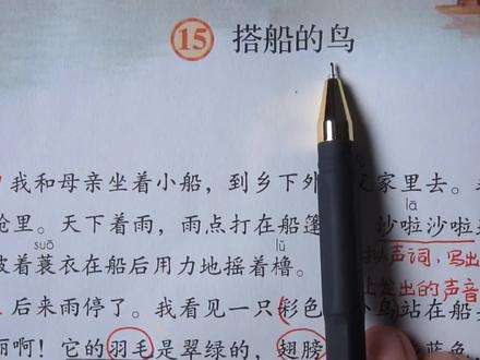 三年级上册语文第五单元~第15课搭船的鸟~课文讲解