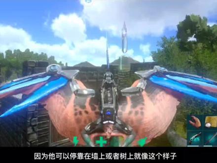 方舟手游休闲残酷第二十五期,可以乘坐三个人的古神翼龙 #方舟生存进化