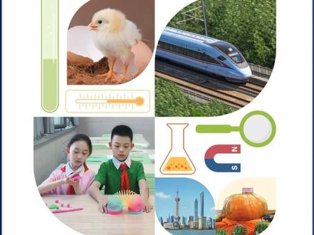 科学三下2026版,第1单元_变与不变_2形变与受力
